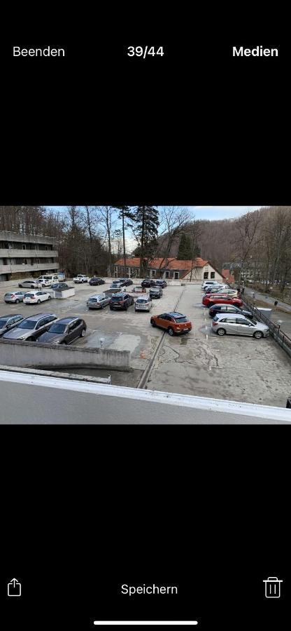 Ferienwohnung Linda Incl Pool, Sauna & Tiefgarage Bad Harzburg Eksteriør billede